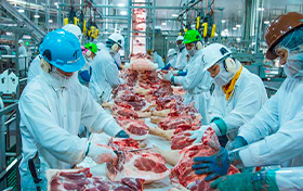 MEAT
